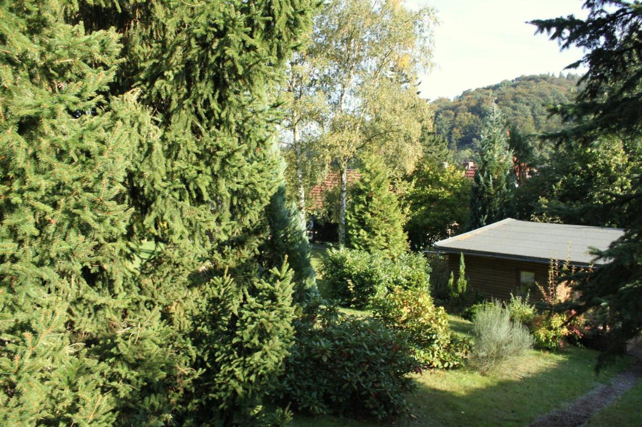 Ferienhaus Harzblick Guntersberge Exterior photo