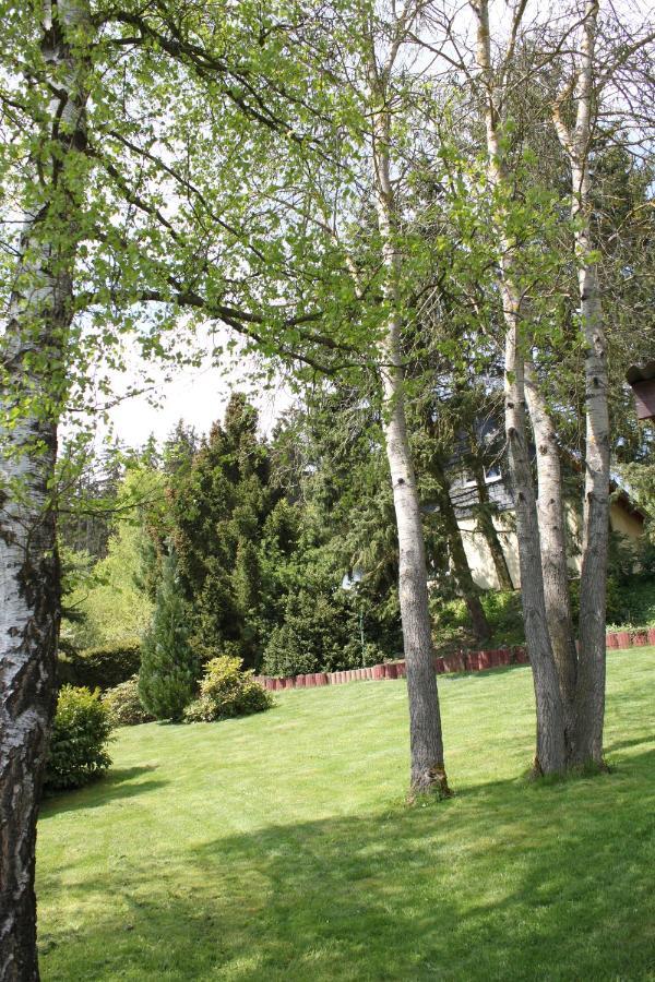 Ferienhaus Harzblick Guntersberge Exterior photo